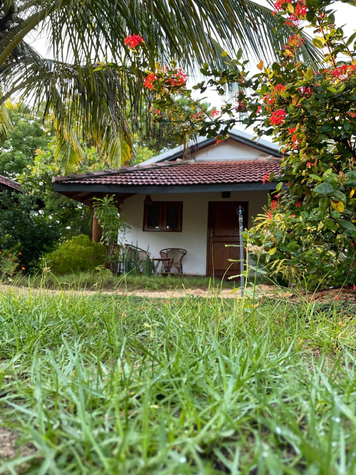 Prime Surfers Bungalow Arugam Bay Eksteriør billede